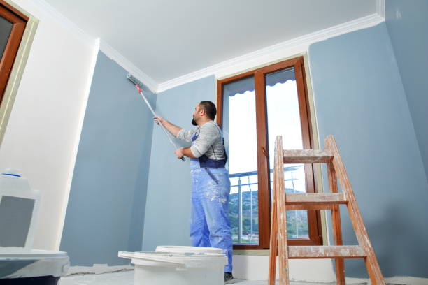 Best Drywall Removal and Disposal  in Elkland, PA